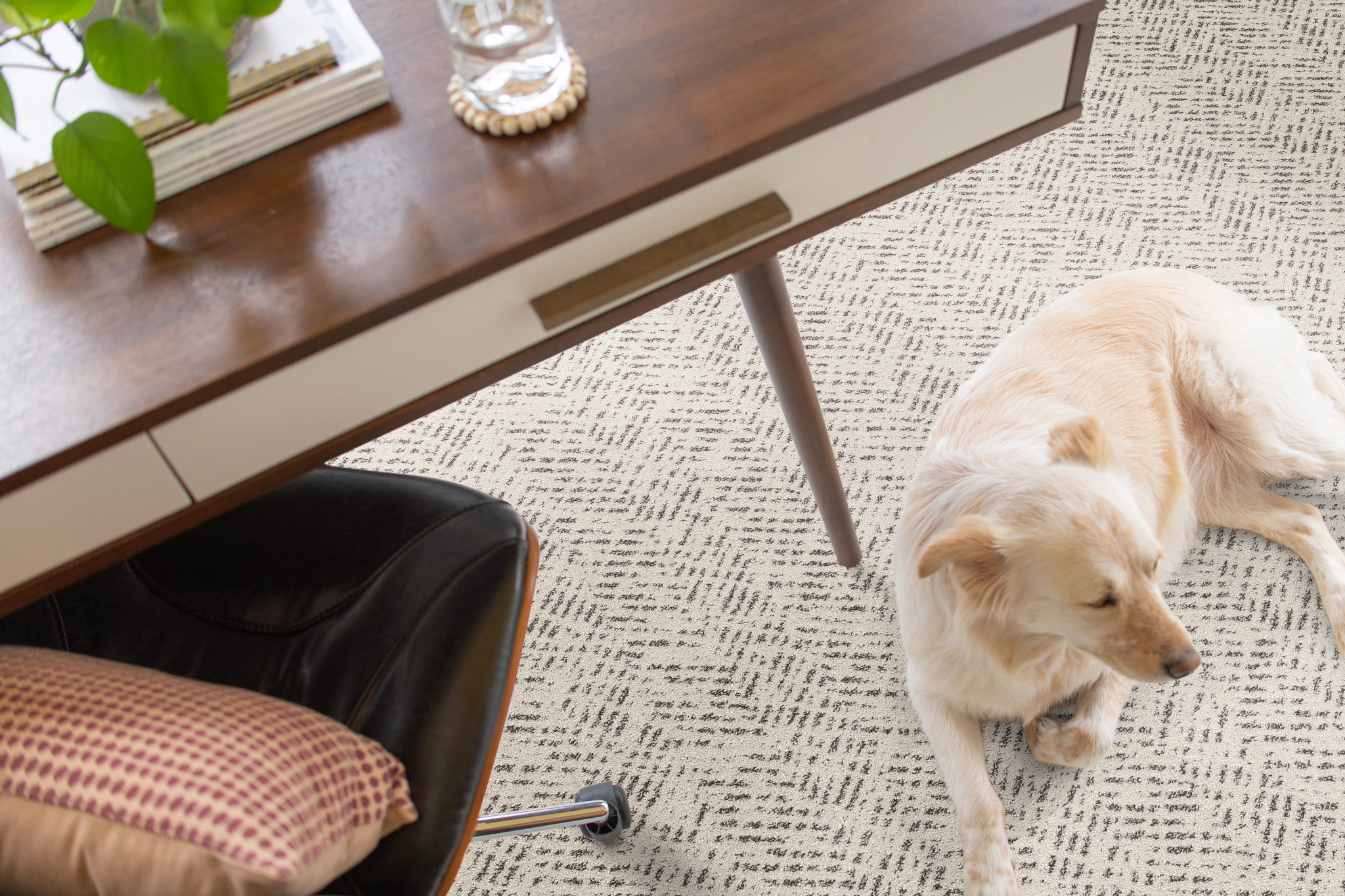 Pet Perfect™️ Dog, Cat & Pet Friendly Carpet Shaw Floors